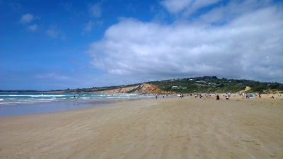 Anglesea Beach, Victoria, Australia 2014. Source: Ooh Chiara @ Book of Eucalypt.